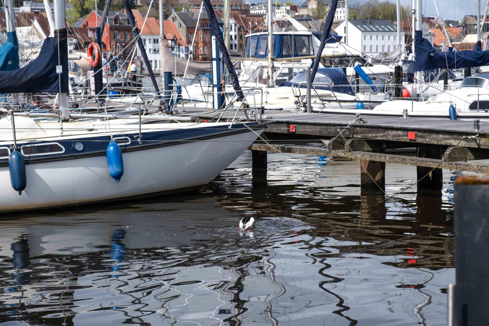 Des Nordens Flensburg Wellness & Hotel Krusa